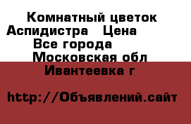 Комнатный цветок Аспидистра › Цена ­ 150 - Все города  »    . Московская обл.,Ивантеевка г.